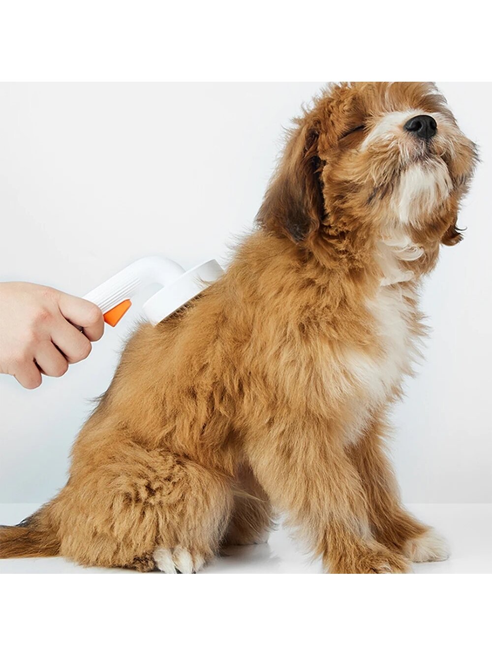 PETKIT | Large Pet Grooming Brush 2 | White 8 PETKIT | Large Pet Grooming Brush 2 | White 8