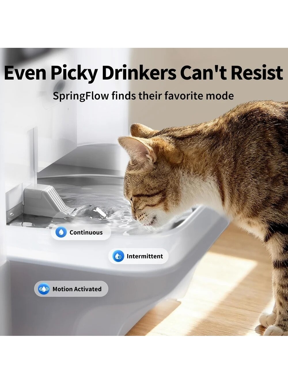 PETKIT Pet Water Fountain with Camera | EverSweet Ultra | Capacity 5 L | Material ABS, 304 Stainless Steel, PP, PPO | White 7 PETKIT Pet Water Fountain with Camera | EverSweet Ultra | Capacity 5 L | Material ABS, 304 Stainless Steel, PP, PPO | White 7