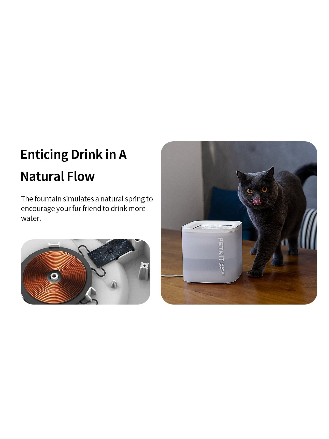 PETKIT | Smart Pet Drinking Fountain | Eversweet Solo | Capacity 1.8 L | Filtering | Material Plastic | White 8 PETKIT | Smart Pet Drinking Fountain | Eversweet Solo | Capacity 1.8 L | Filtering | Material Plastic | White 8