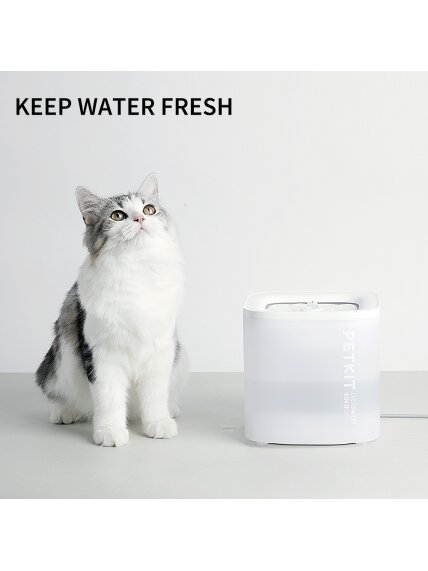 PETKIT | Smart Pet Drinking Fountain | Eversweet Solo | Capacity 1.8 L | Filtering | Material Plastic | White 11