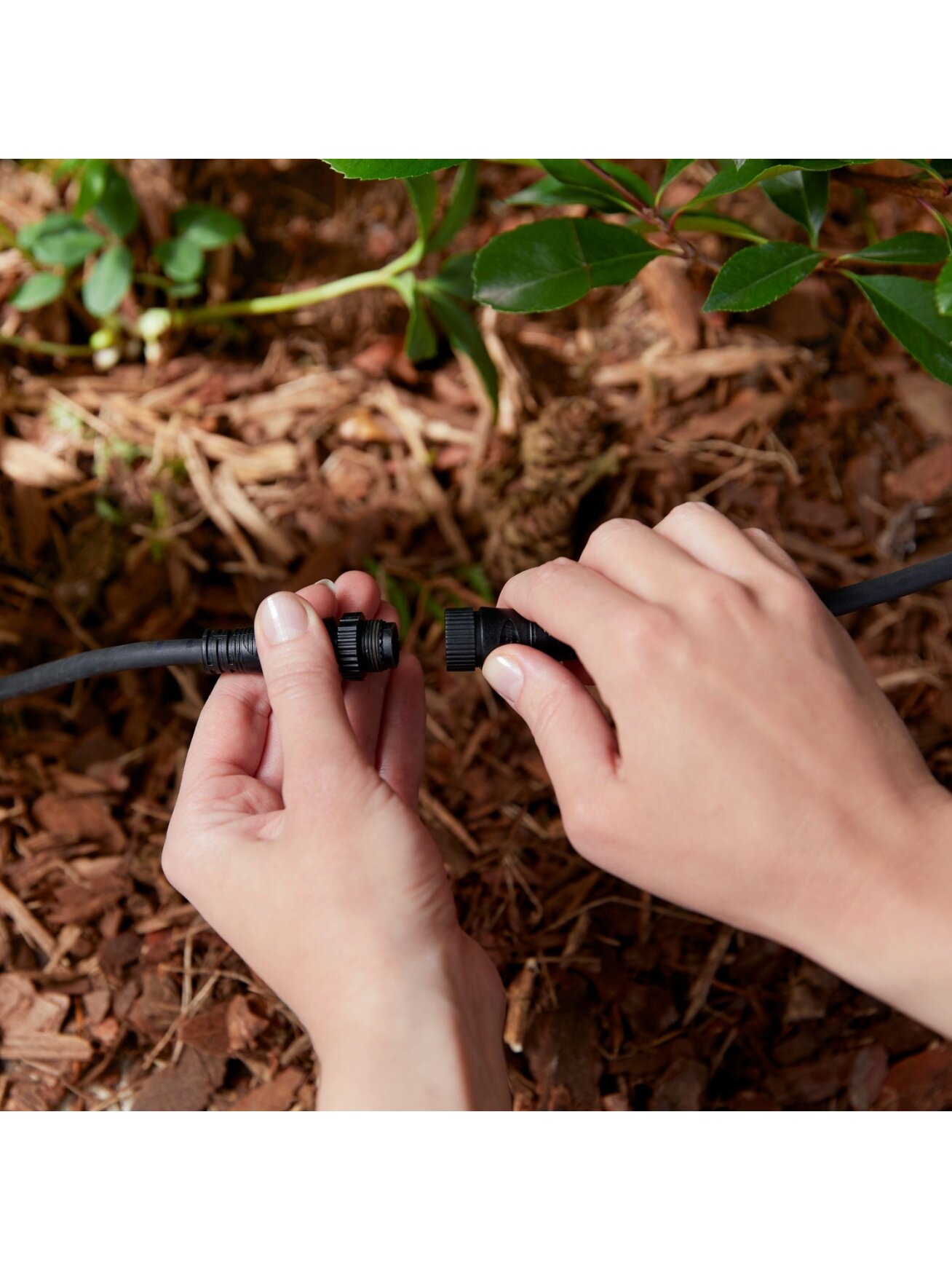 Philips Hue Outdoor 24V Cable Extension and T-connector, 2.5m 1