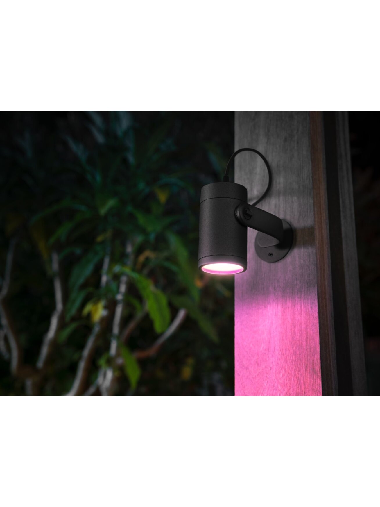 Philips Hue WCA Lily Outdoor Spot Light Base 24V | 8 W | 2200-6500 BBL CCT range 4 Philips Hue WCA Lily Outdoor Spot Light Base 24V | 8 W | 2200-6500 BBL CCT range 4