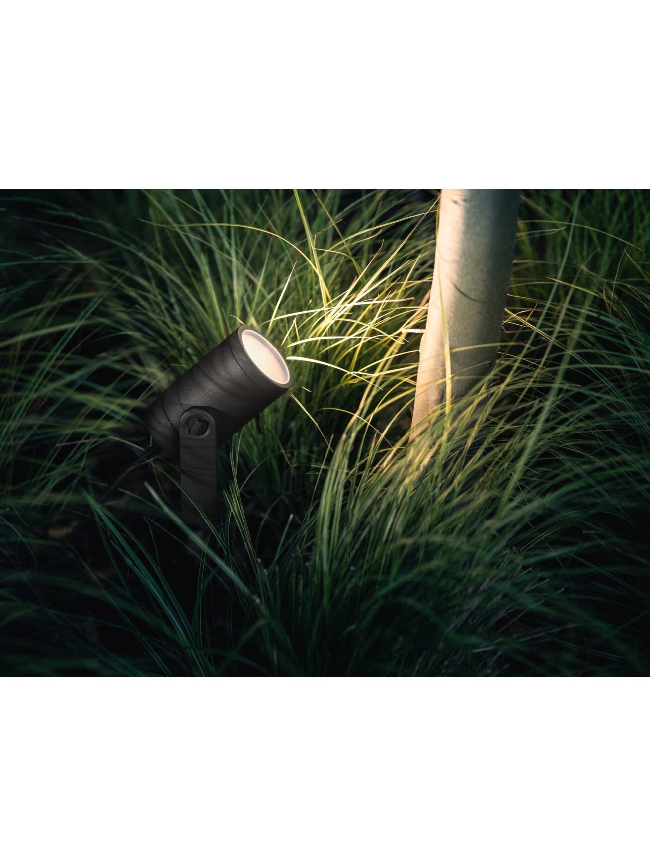 Philips Hue WCA Lily Outdoor Spot Light Base 24V | 8 W | 2200-6500 BBL CCT range 5 Philips Hue WCA Lily Outdoor Spot Light Base 24V | 8 W | 2200-6500 BBL CCT range 5