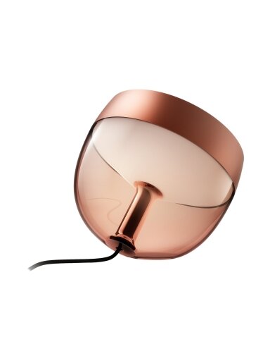 Philips Hue | Hue Iris Portable Lamp, Copper Special Edition | Copper/brass | Portable lamp