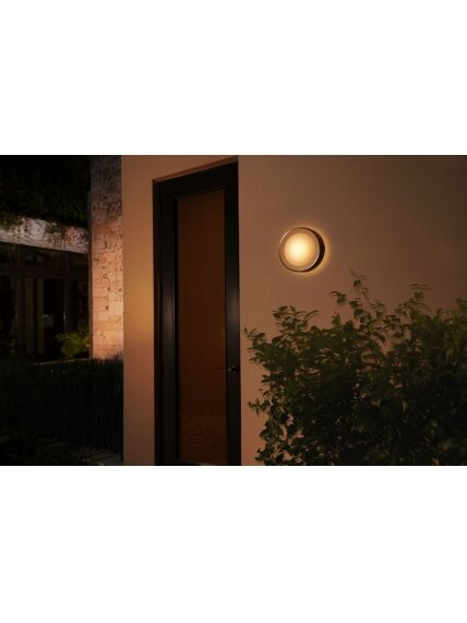 Philips Hue WCA Daylo Outdoor Wall Lantern, Inox | 15 W | 2000-6500 Hue White Colour Ambiance 3 Philips Hue WCA Daylo Outdoor Wall Lantern, Inox | 15 W | 2000-6500 Hue White Colour Ambiance 3
