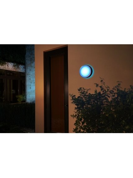 Philips Hue WCA Daylo Outdoor Wall Lantern, Inox | 15 W | 2000-6500 Hue White Colour Ambiance 4 Philips Hue WCA Daylo Outdoor Wall Lantern, Inox | 15 W | 2000-6500 Hue White Colour Ambiance 4