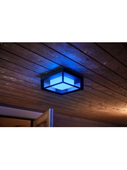 Philips Hue WCA Econic Outdoor Square Wall Lantern | 15 W | 2000-6500 Hue White Colour Ambiance 6 Philips Hue WCA Econic Outdoor Square Wall Lantern | 15 W | 2000-6500 Hue White Colour Ambiance 6