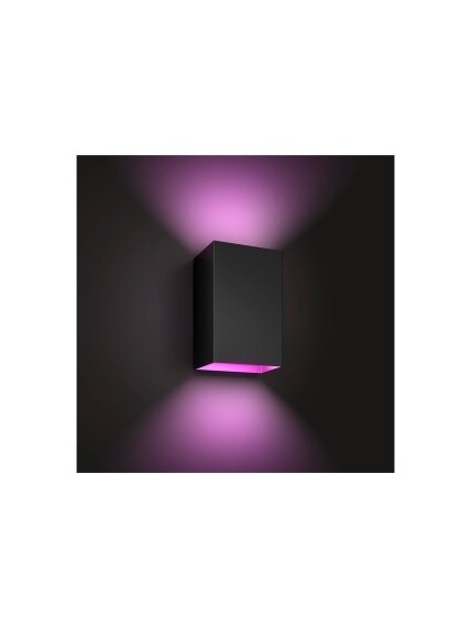 Philips Hue WCA Resonate Outdoor Wall Lantern, Black | 8 W | 2000-6500 Hue White Colour Ambiance 4 Philips Hue WCA Resonate Outdoor Wall Lantern, Black | 8 W | 2000-6500 Hue White Colour Ambiance 4