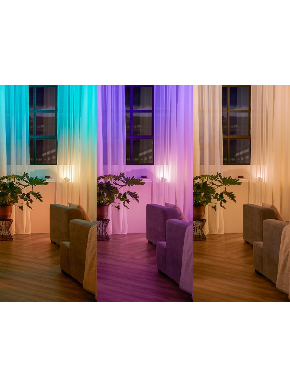 Philips Hue | Hue Wall Switch Module | White 6