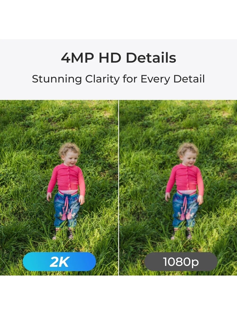 Reolink E Series E330 | PTZ | 5 MP | 4mm/F1.6 | Micro SD, Max. 512 GB 3