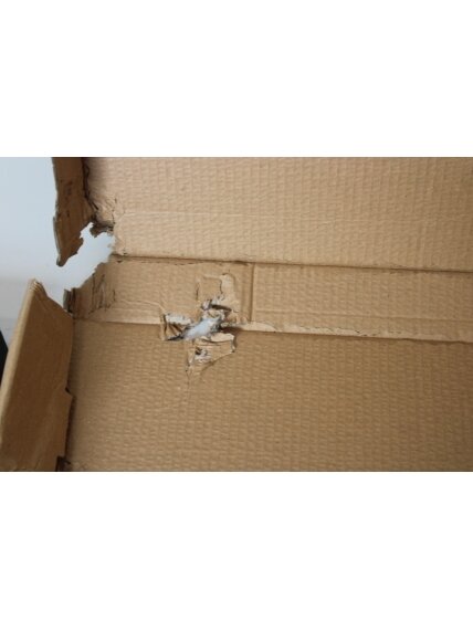 SALE OUT. Digitus DN-19 TRAY-2-1000-SW Pull-out shelf, 1U, 720mm depth | SALE OUT. Digitus Extendible Shelf for 483 mm Cabinets | DN-19 TRAY-2-1000SW | Black | DAMAGED PACKAGING, SCRATCHED, DENT CORNER 2 SALE OUT. Digitus DN-19 TRAY-2-1000-SW Pull-out shelf, 1U, 720mm depth | SALE OUT. Digitus Extendible Shelf for 483 mm Cabinets | DN-19 TRAY-2-1000SW | Black | DAMAGED PACKAGING, SCRATCHED, DENT CORNER 2