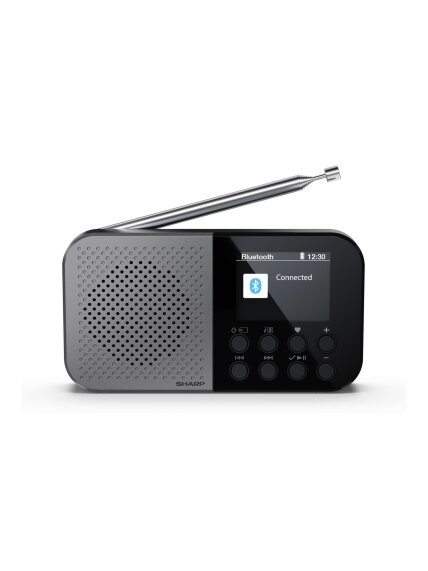 Sharp OSAKA Pocket/Handheld Portable Digital Radio | DR-P520(GY) | Bluetooth 1
