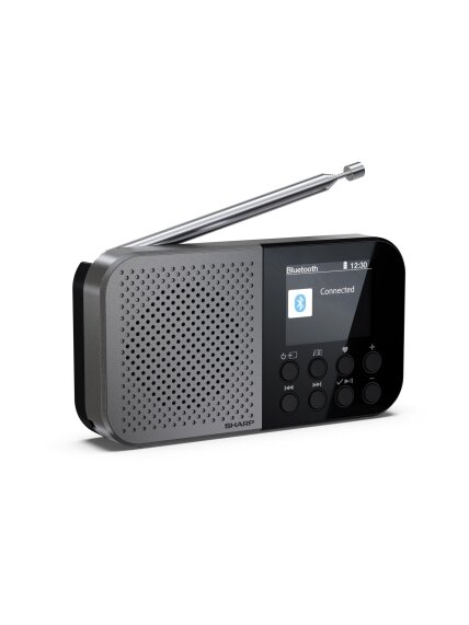 Sharp OSAKA Pocket/Handheld Portable Digital Radio | DR-P520(GY) | Bluetooth 2