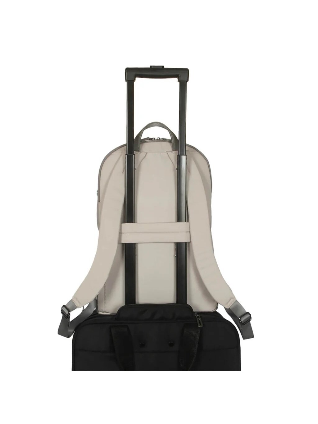 Targus Avila | Backpack | French Oak | 15-16 " | Shoulder strap | Waterproof 11
