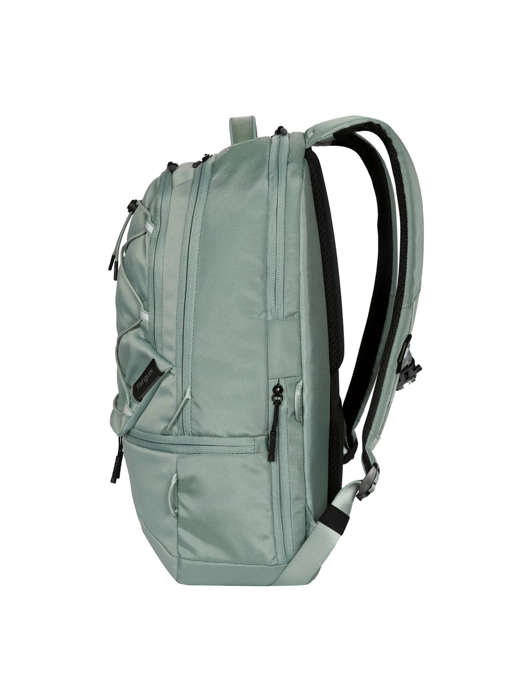 Targus Work+ Play Flex | Fits up to size 15-16 " | Backpack | Green 3
