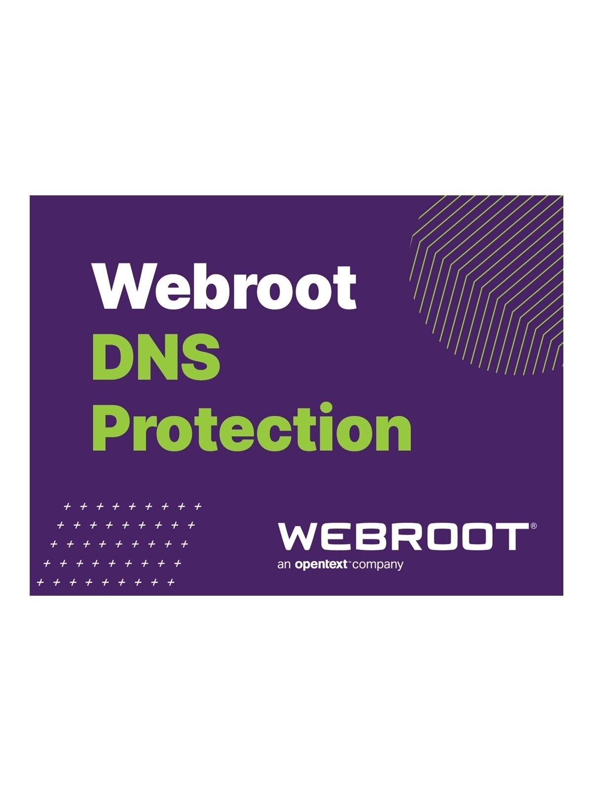Webroot | DNS Protection with GSM Console | 1 year(s) | License quantity 1-9 user(s)
