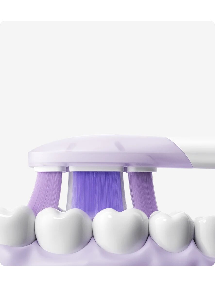 Xiaomi | Oscillation Electric Toothbrush Replacement Heads (Soft), 3 pcs 3 Xiaomi | Oscillation Electric Toothbrush Replacement Heads (Soft), 3 pcs 3